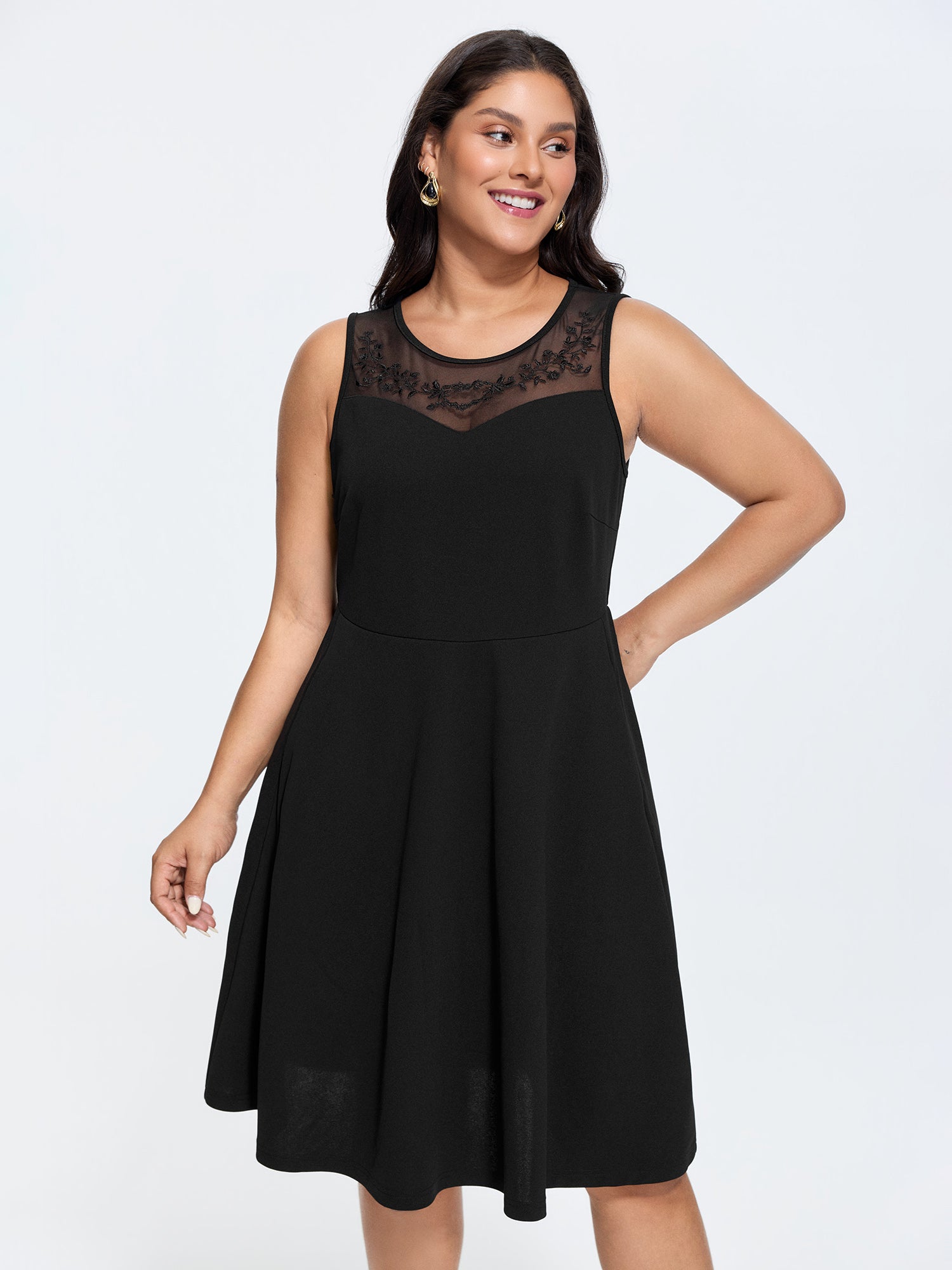 Stretchy Sheer Mesh Embroidered Neckline Midi Dress