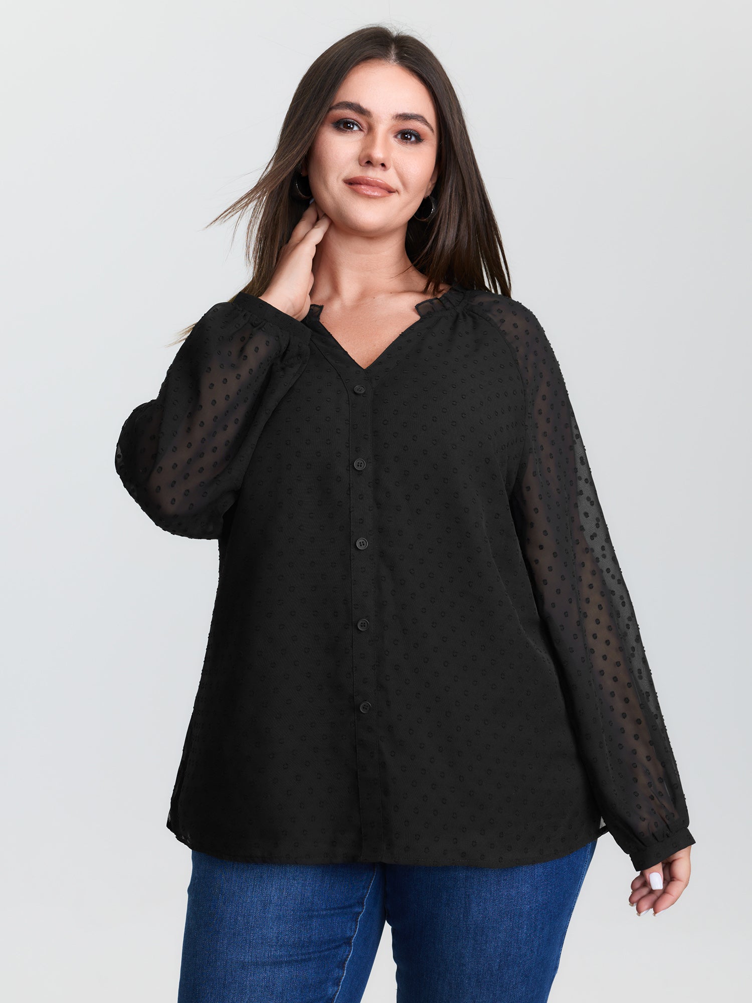 Sheer Textured Sleeve Ruffled Neckline Blouse