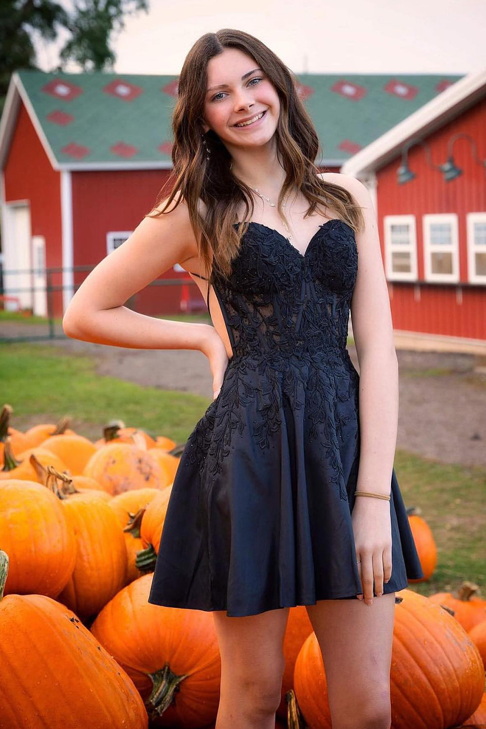 Black A Line Backless Halter Short Homecoming Dress/Mini Dress with Lace