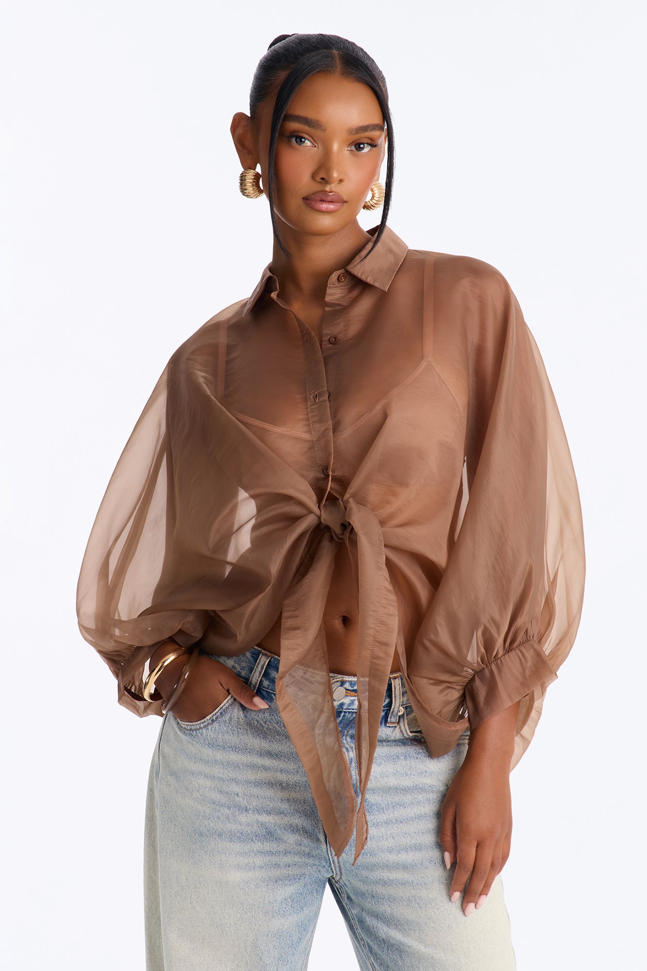 Bri Sheer Organza Button Up Blouse - Brown