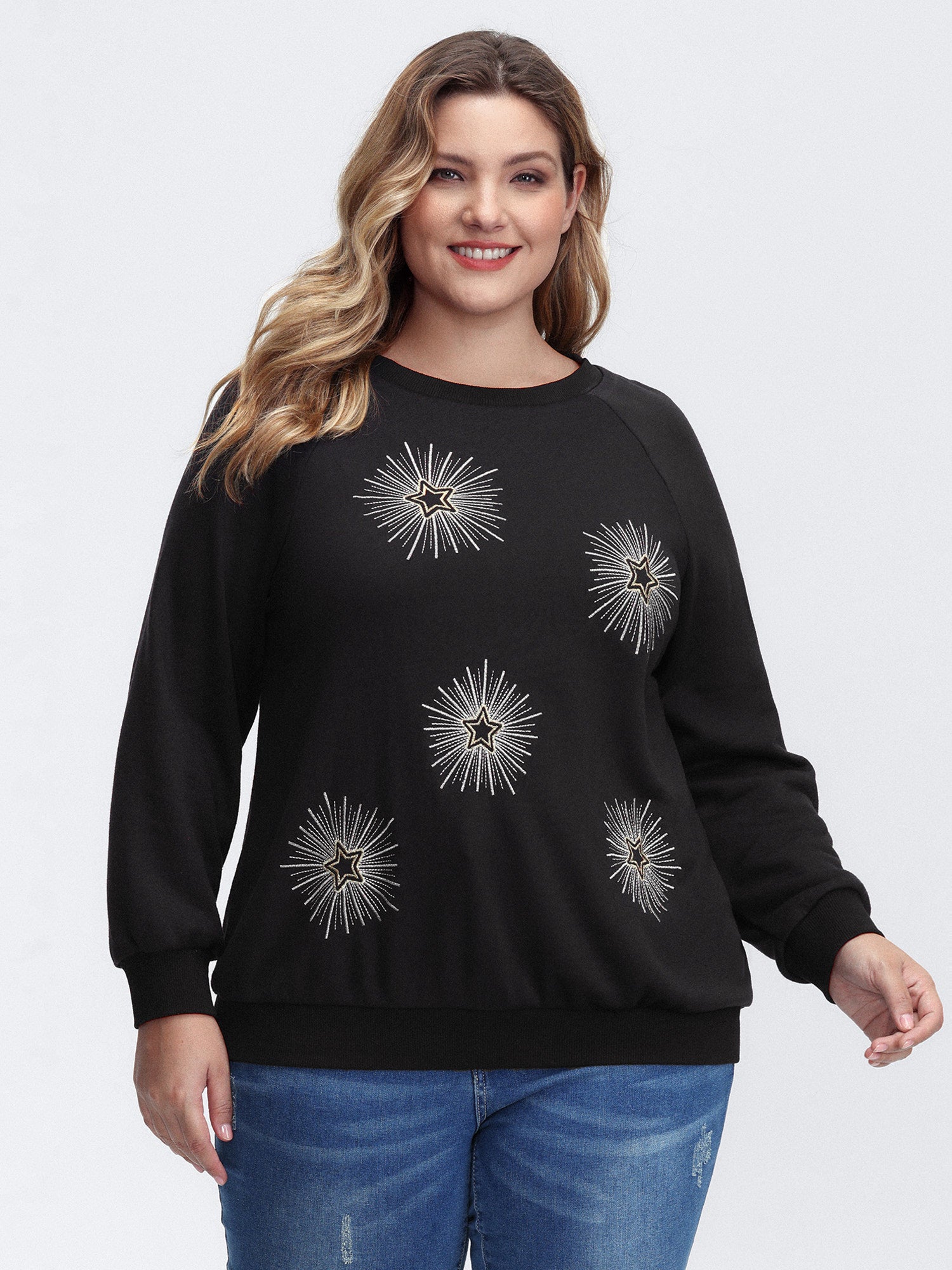 Star Embroidery Round Neck Sweatshirt
