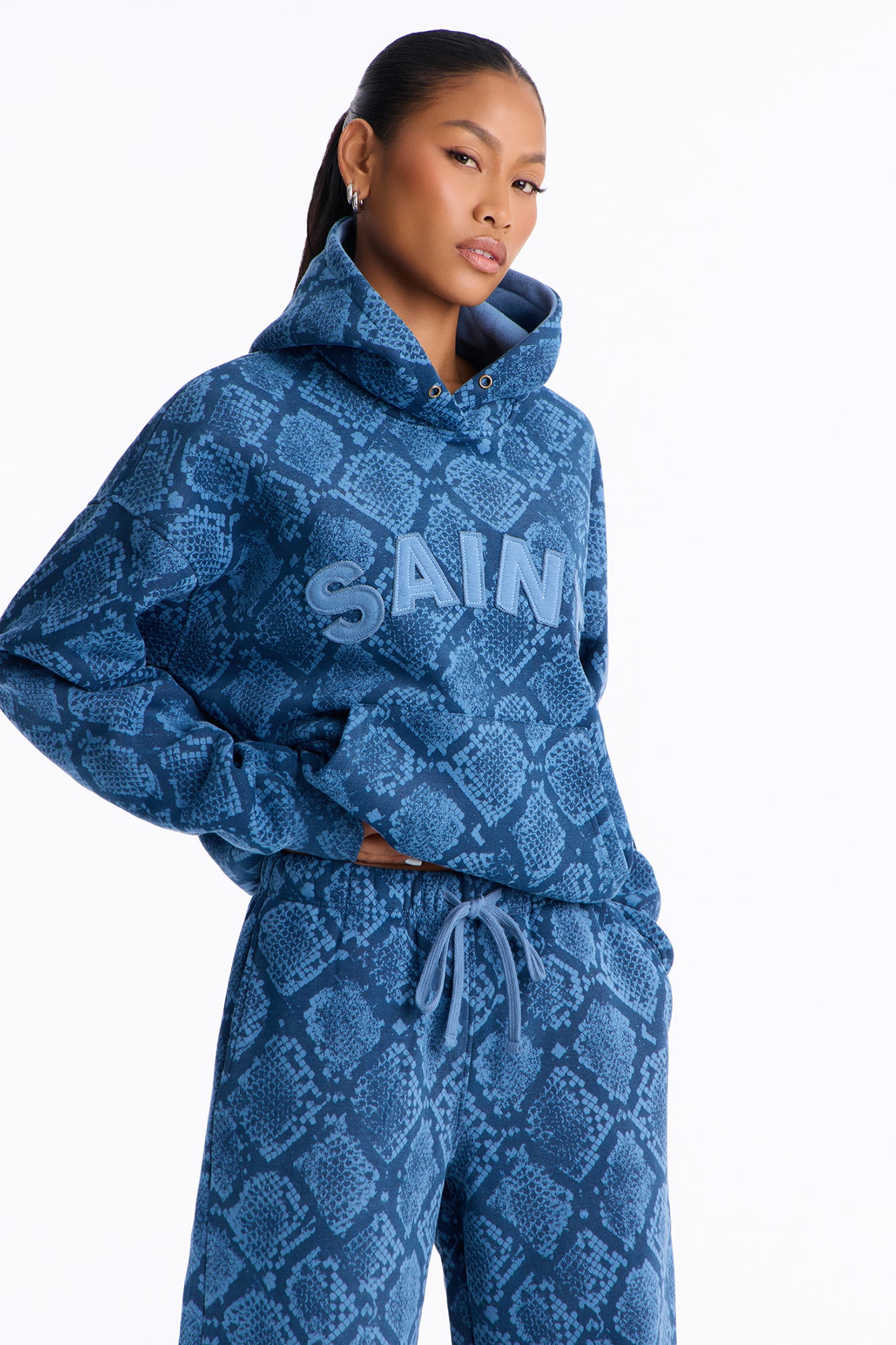 Saint And Snakeskin Hoodie - Blue