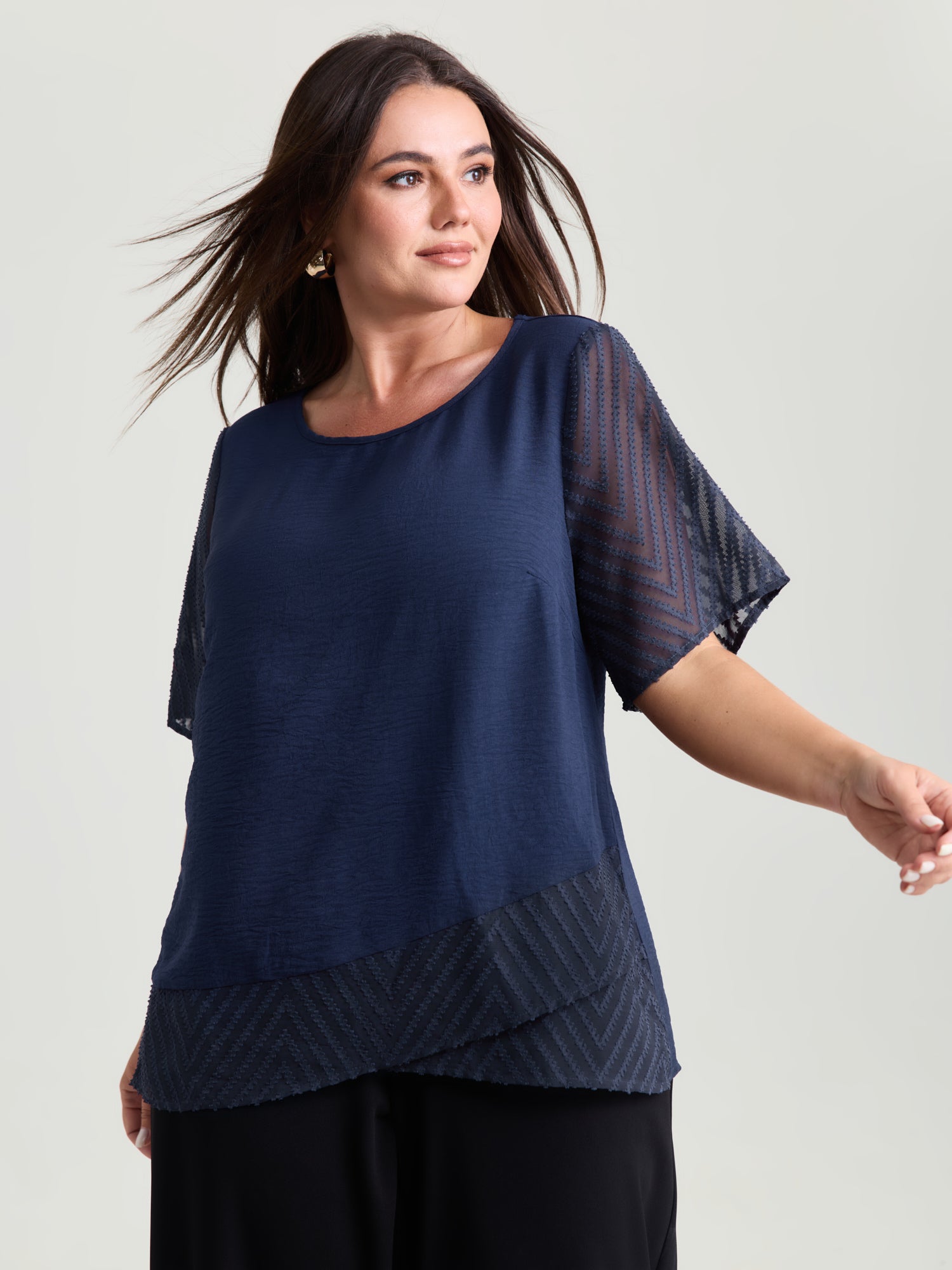 Sheer Textured Sleeve Round Neck Blouse