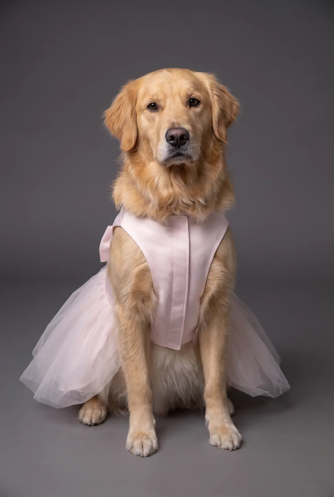 Bow Satin Tulle Skirt Dog Dress