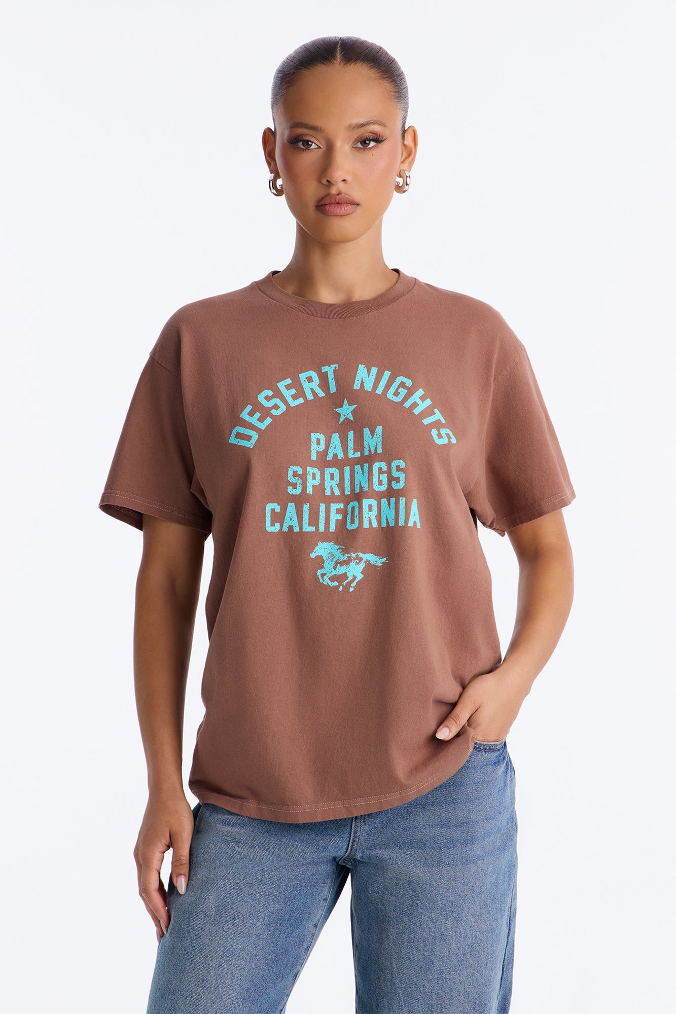 Palm Desert Nights Washed Tee - Brown