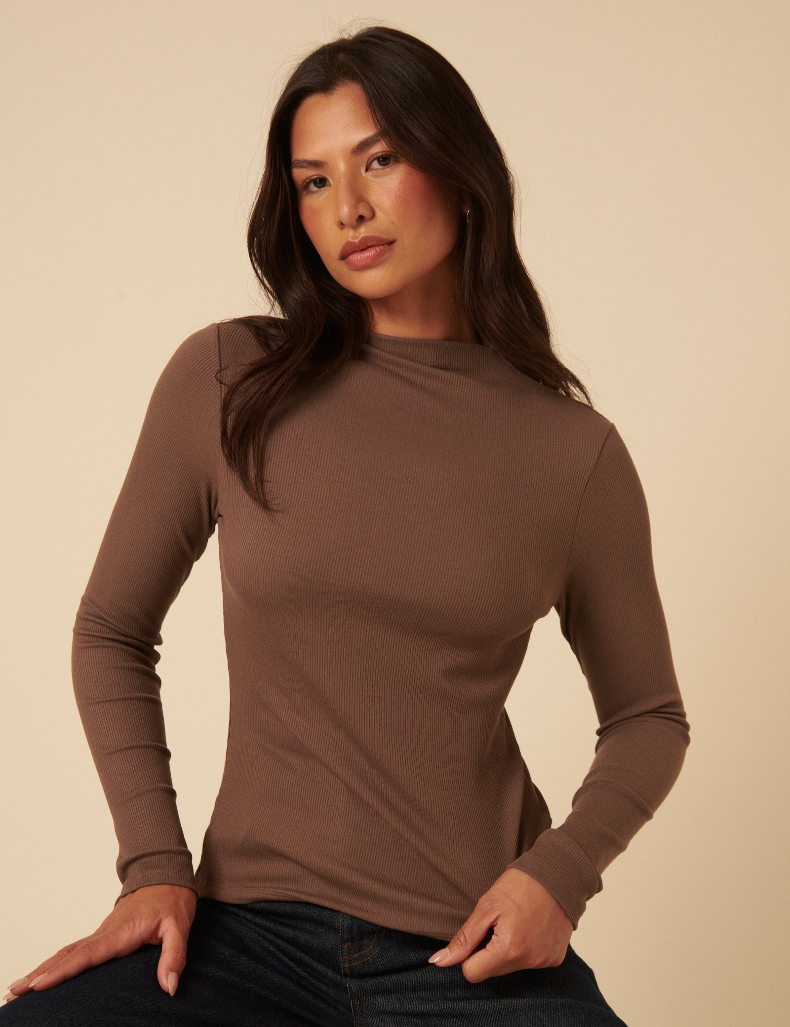 Brown Ribbed High Neck Long Sleeve Top